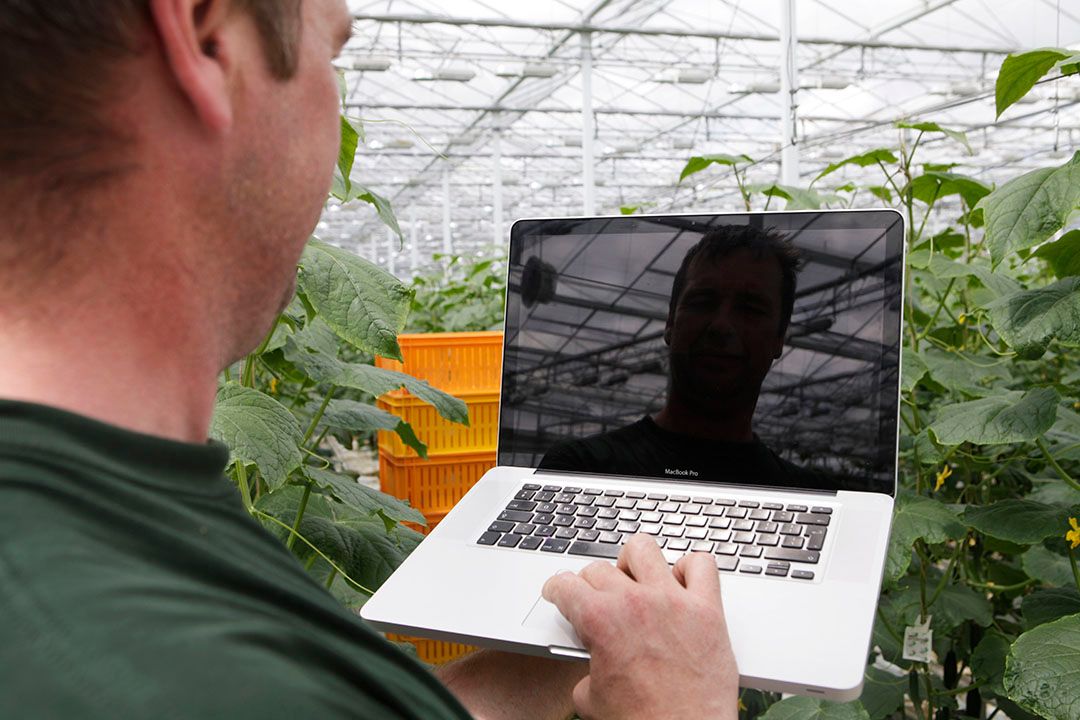 De tuinbouw is geholpen met de extra maatregelen van het kabinte. - Foto: Michel Zoeter