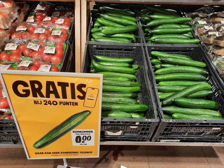 De vraag vanuit retail naar komkommers is goed. – Foto: Harry Stijger