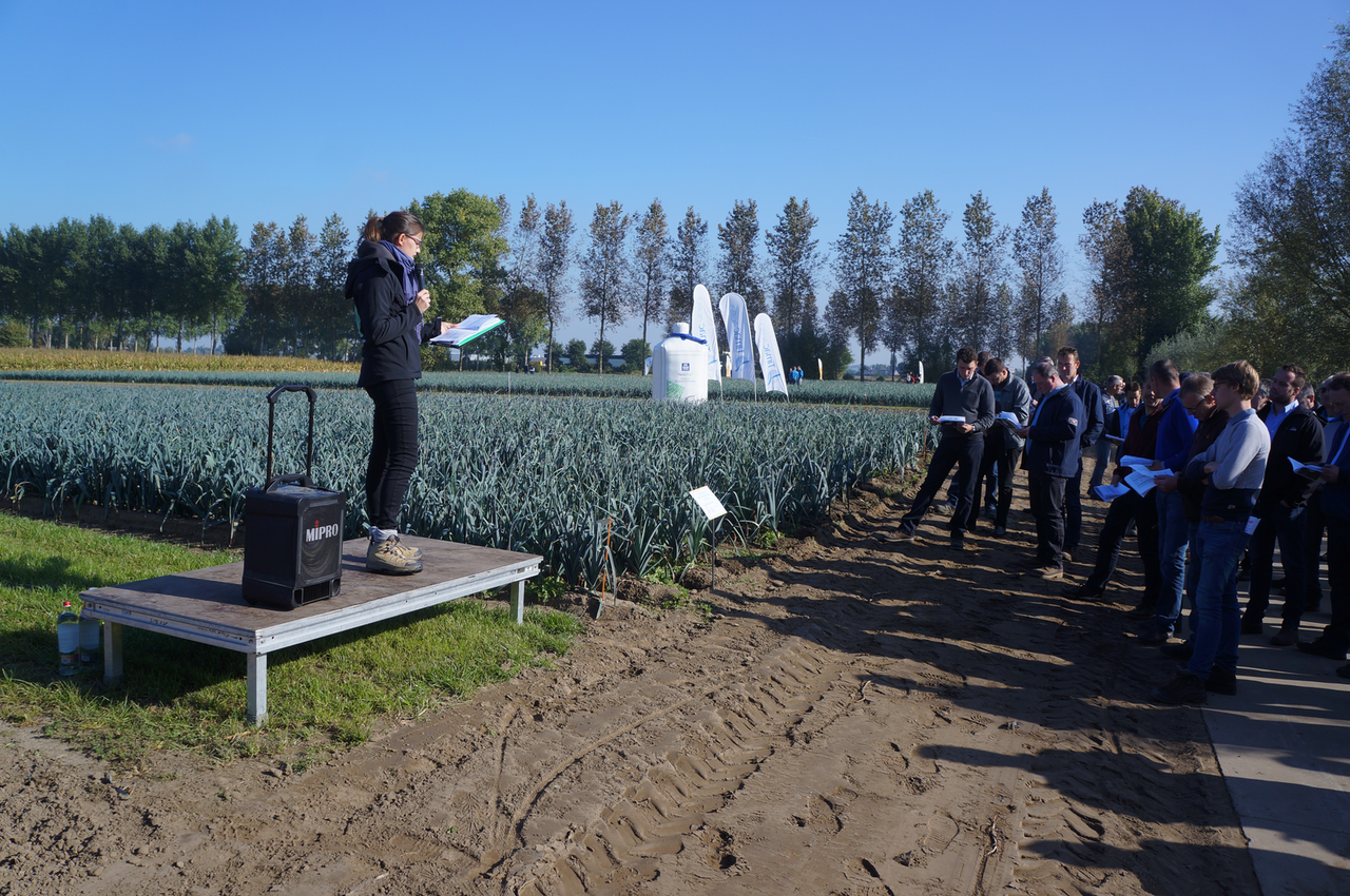 Tijdens de internationale preidag op het PCG in Kruishoutem werden de bezoekers vlot bijgepraat over het onderzoek in prei, onder andere op het vlak van gewasbescherming, bemesting, rassen en de mogelijkheden van productdiversificatie.</p> <p>(foto: Joost Stallen)