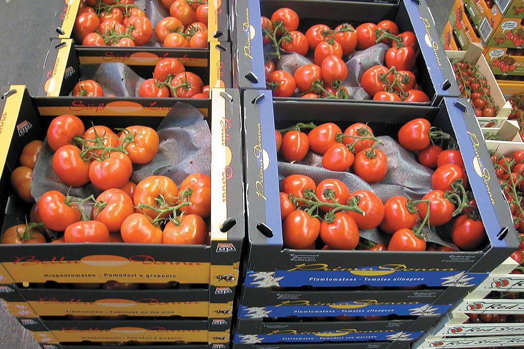 Trostomaten op de groothandelsmarkt. - Foto: Groenten&Fruit