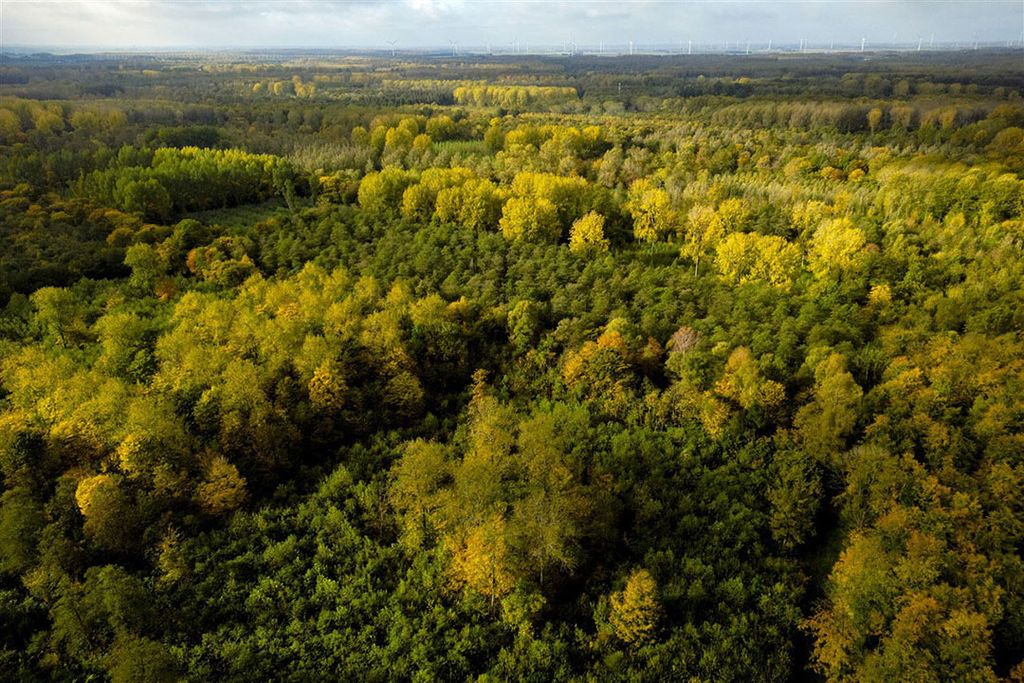 Voor de nieuwe kazerne in de buurt van natuurgebied Horsterwold zou 500 hectare nodig zijn. - Foto: ANP