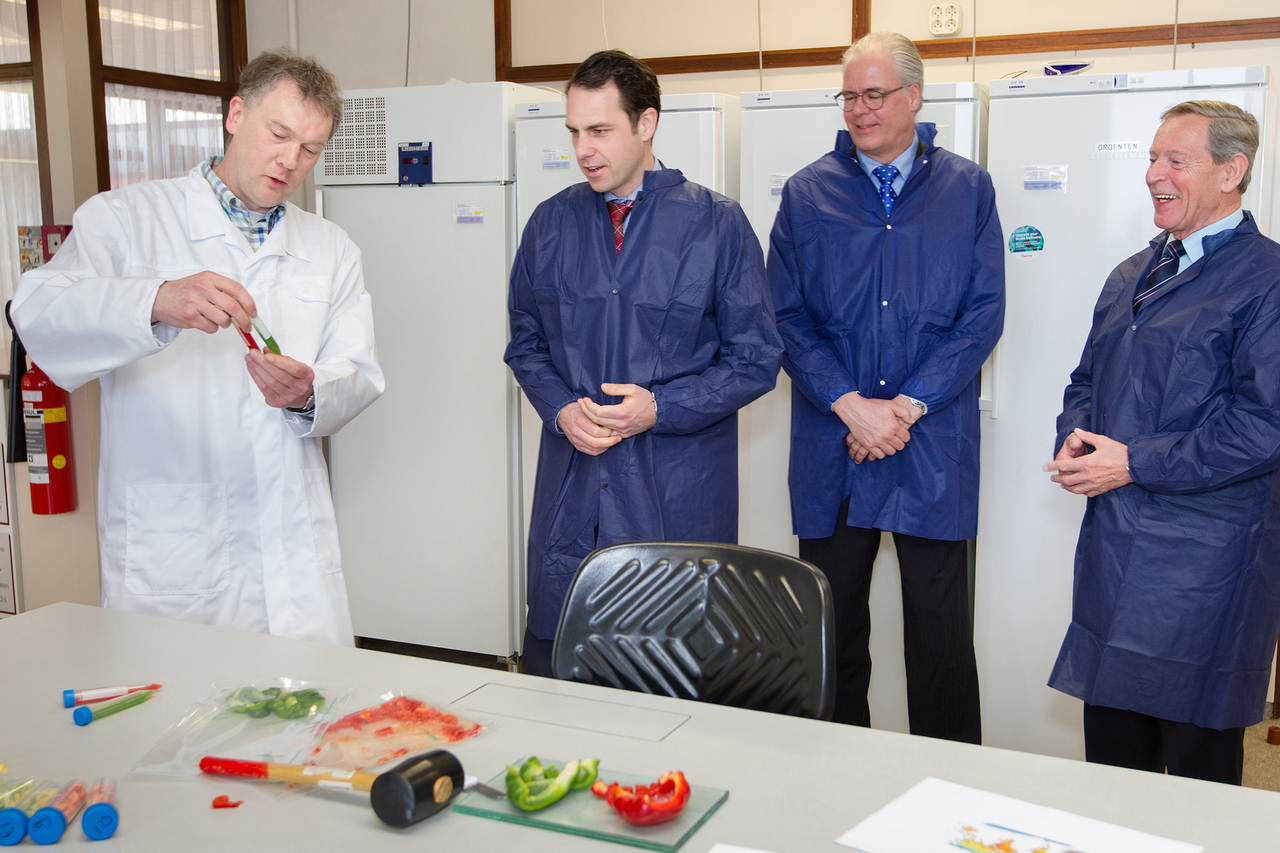 Van Dam bekijkt het proces van rassenonderzoek, waarbij ook een rubber hamer een rol speelt.