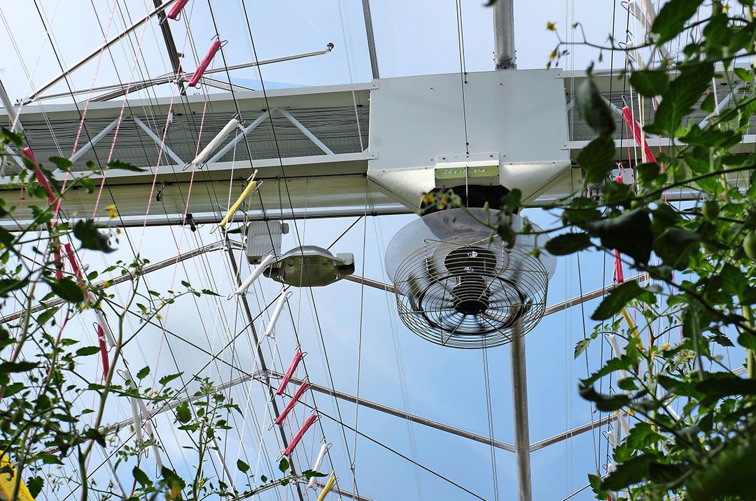 Ruim 2.000 tuinders verbruiken naar verwachting zo veel energie dat ze verplicht moeten onderzoeken hoe ze energie kunnen besparen. - Foto: Gerard Boonekamp