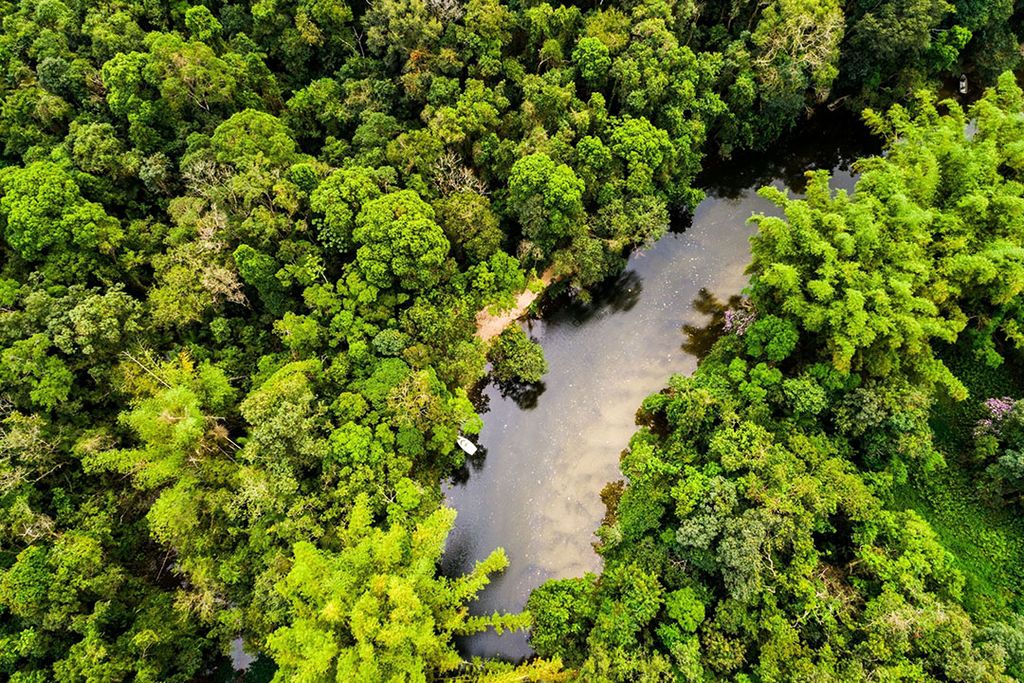 Onder de huidige Braziliaanse president, Jair Bolsonaro, zijn ontbossing en bosbranden in het Amazonegebied toegenomen. Foto: Canva