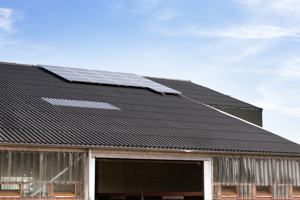 Stal met zonnepanelen die konden worden gemonteerd dankzij een eerdere energiesubsidieronde.<em><br />Foto: Bart Nijs</em>