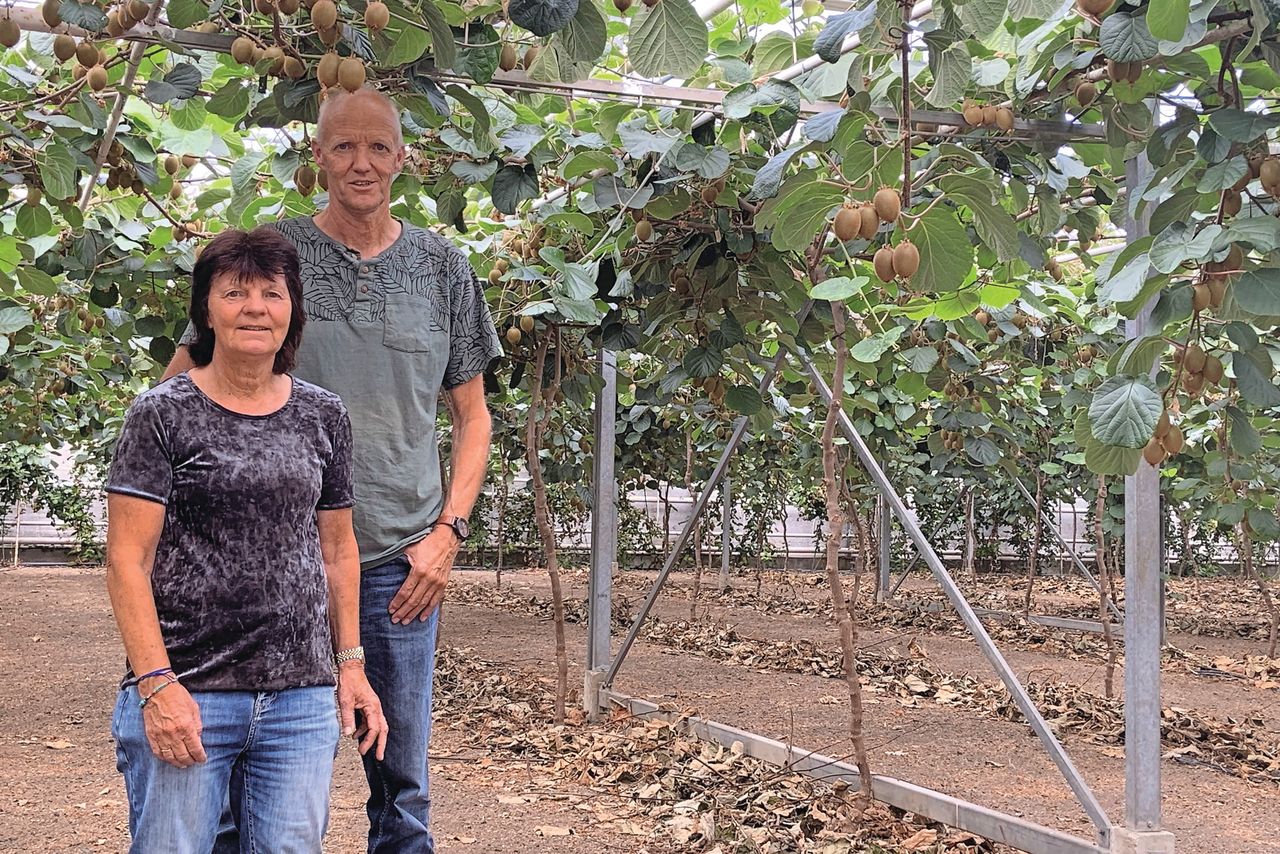 Gerda en René Arkesteijn zeiden de bloementeelt vaarwel en telen nu fruit in hun bijna 1 hectare grote kas. Foto: Peter van Leth