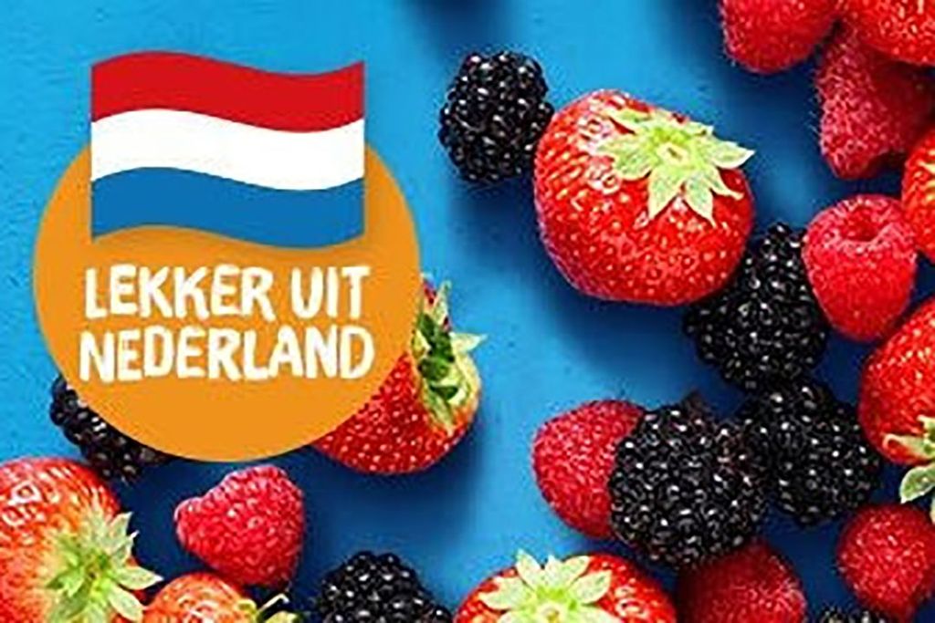 Advertentiemateriaal nieuwe Nederlandse campagne Albert Heijn (AH). - Foto: AH.nl