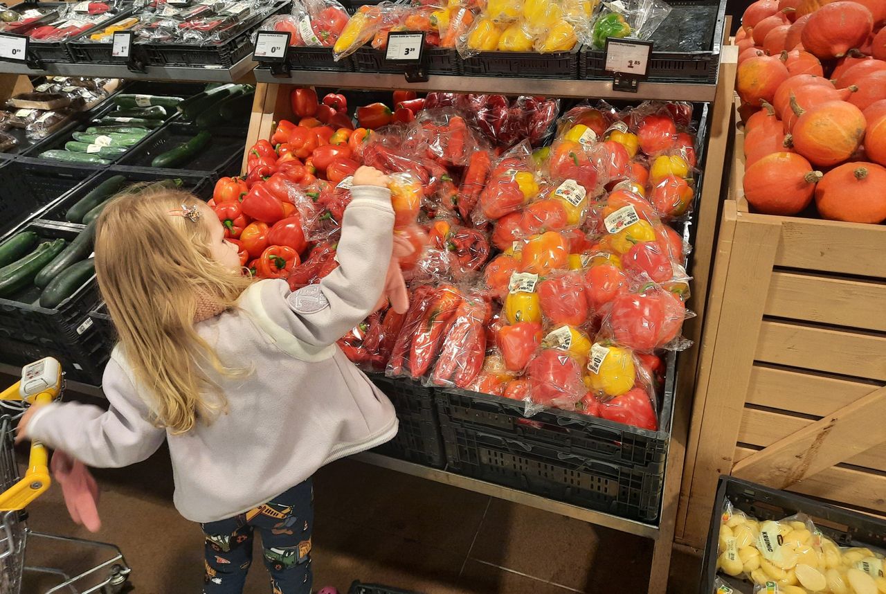 De populariteit van de rode puntpaprika neemt bij de consument toe. Foto: Harry Stijger