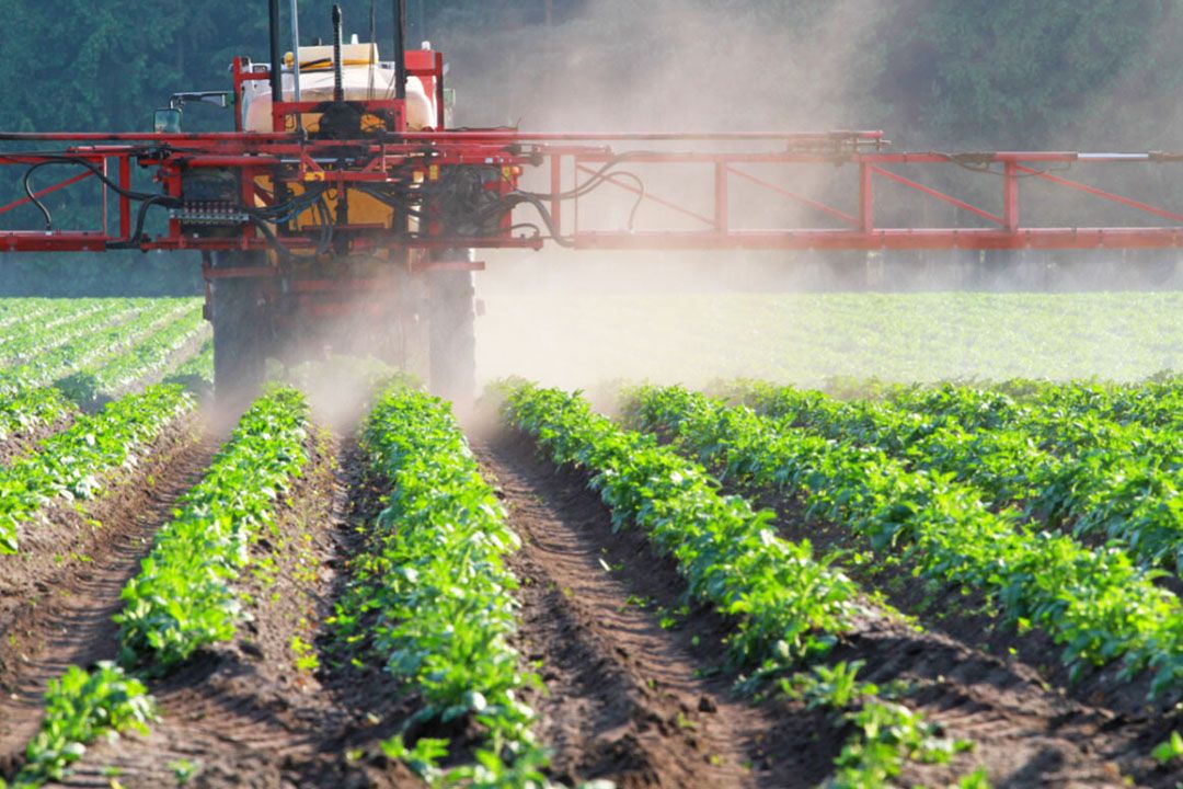 Met name in het zuiden van Europa en het Zwarte Zee-gebied wordt een toename van handel in illegale gewasbeschermingsmiddelen gesignaleerd. - Foto: Canva/Canetti