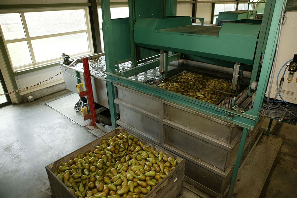 De perentermijnmarkt is geschikt voor het afdekken van risico's op prijsschommelingen later in het seizoen. Door corona is dat risico mogelijk groter.  - Foto: Jan Willem Schouten.