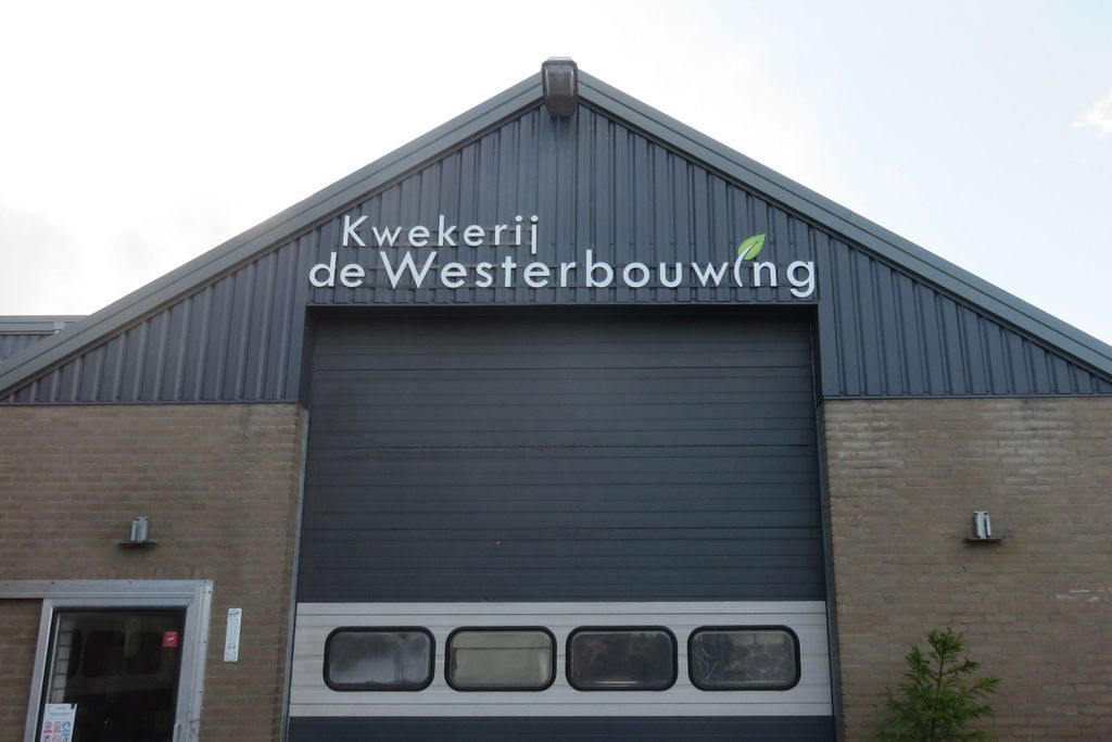 Kwekerij De Westerbouwing van Geert de Weert in Rossum - Foto: Ton van der Scheer