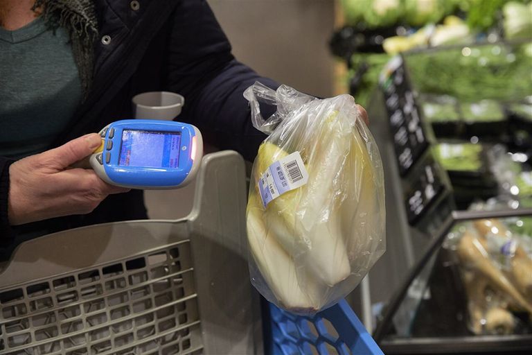 Minder bittere witlof valt beter in de smaak bij jongere consumenten, zeggen de Belgische onderzoekers. - Foto: ANP