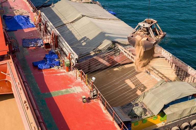 De wereldwijde tarweprijzen zijn sinds de invasie in Oekraïne al gestegen tot € 345 per ton. - Foto: Canva/Koonsiri Boonnak