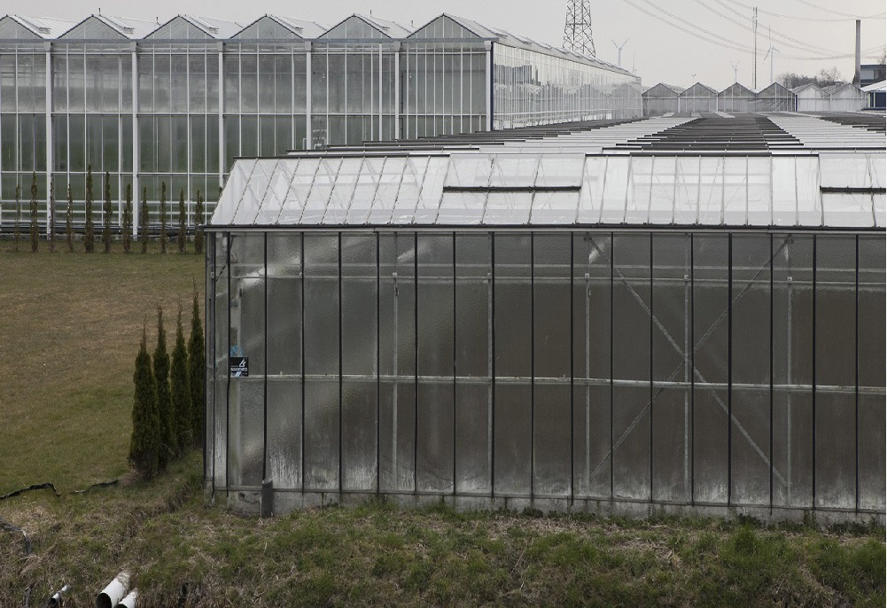 Fiscus zag ZZP-er in tuinbouw onterecht als werknemer