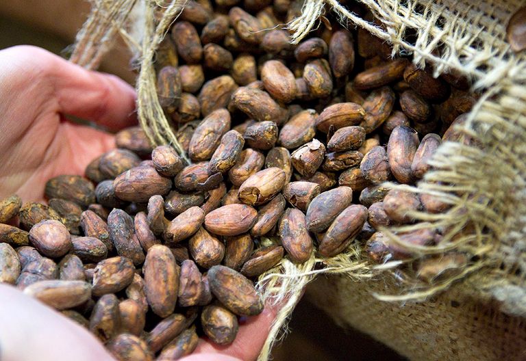 Cacaobonen opgeslagen in een loods. - Foto: ANP