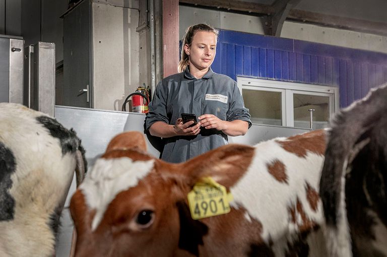 Het takenpakket van een dierenarts bij de NVWA is heel breed en divers.