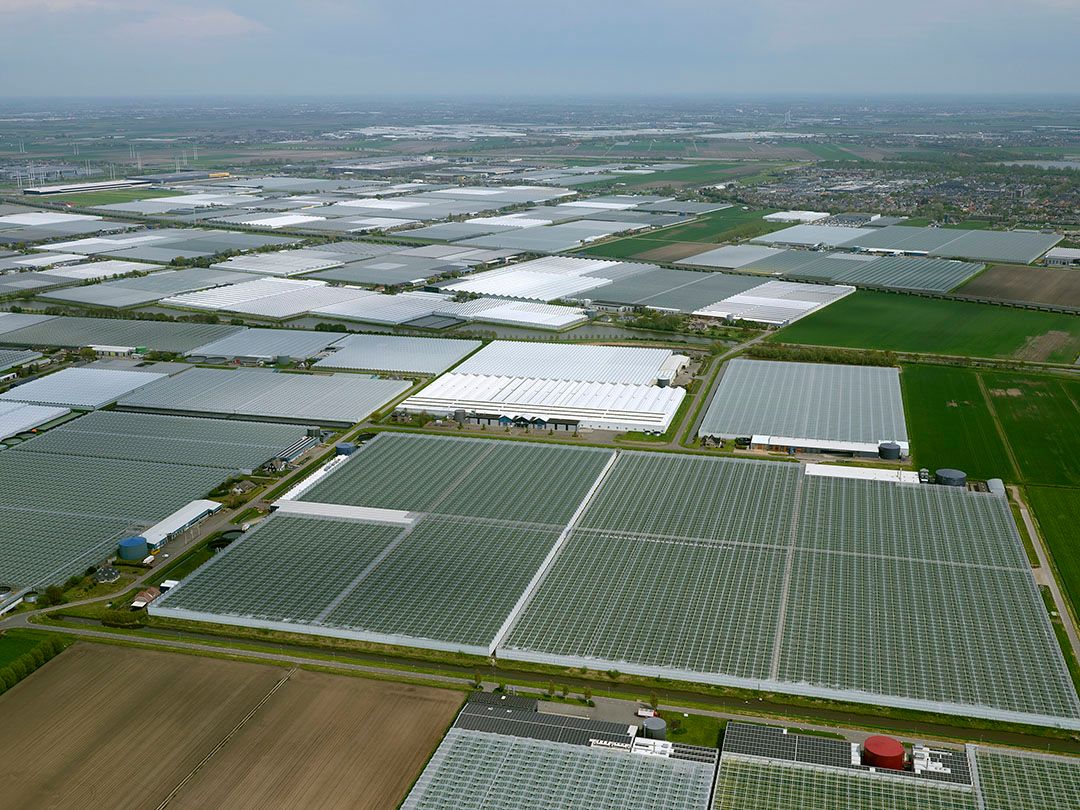 Bovenaanzicht van glastuinbouw in Oostland. Mogelijk worden kassen in de toekomst verwarmd door havenwarmte. - Foto: ANP