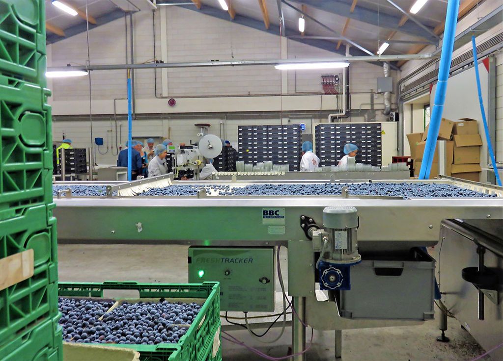 Behalve oogsten kunnen ook andere werkzaamheden op fruitbedrijven gerobotiseerd worden. - Foto: Ton van der Scheer
