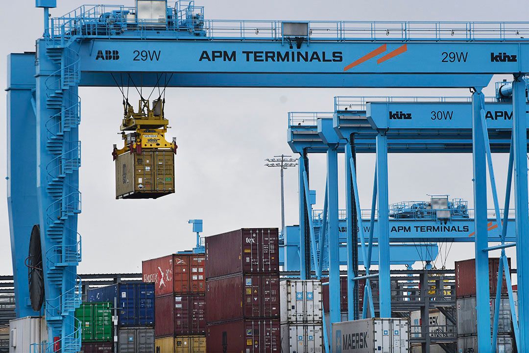 Veel van de fruithandel gaat via containeroverslag. - Foto: ANP/Peter Hilz