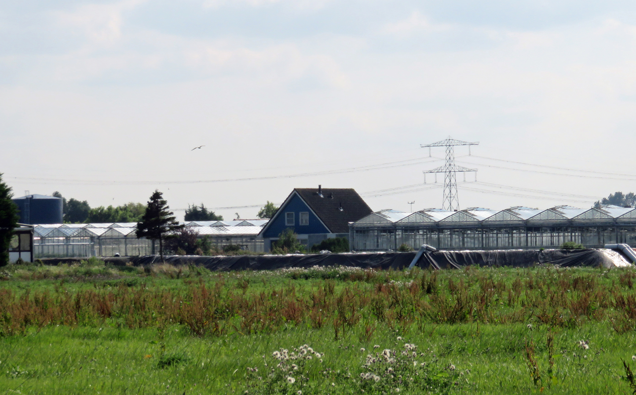 Schade &apos;komkommerzaak&apos; The Greenery in beeld