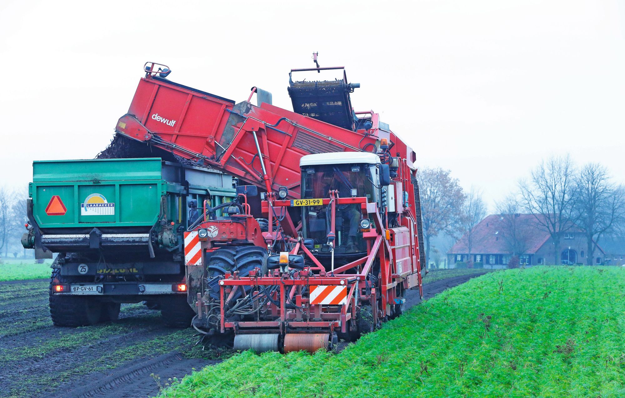 De oogst van industriegroenten. Horafrost besloot na een brand tot ontbinding van de contracten met telers nadat bleek dat andere diepvriesfabrikanten geen extra capaciteit konden bieden. Foto: Henk Riswick
