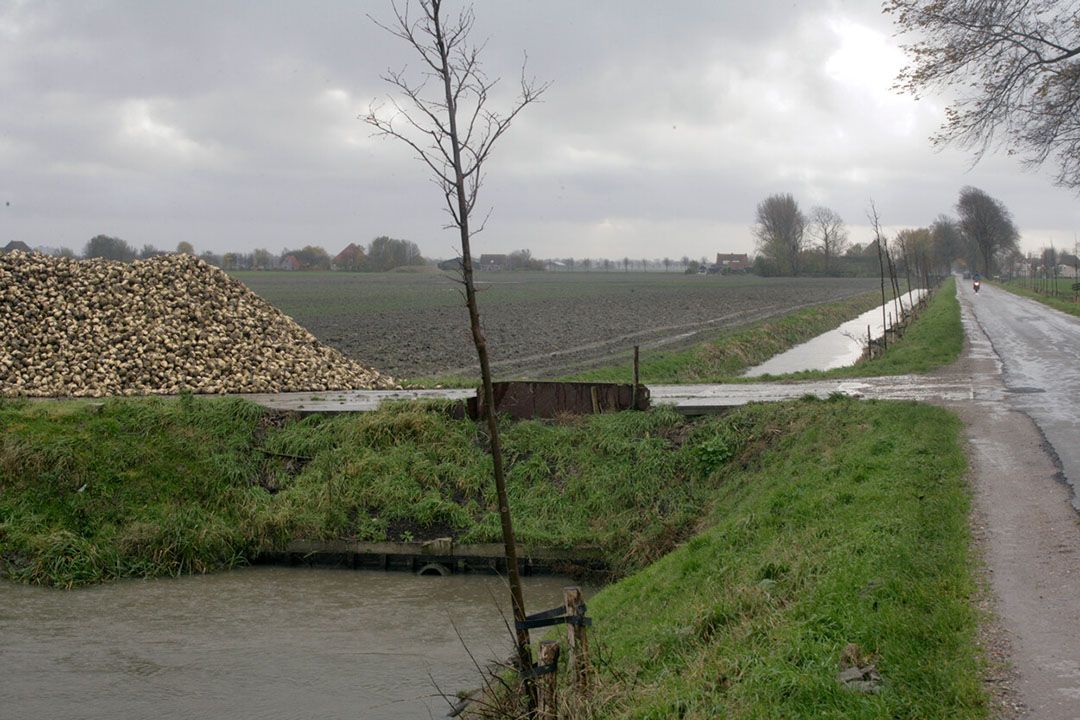 Het ministerie wil onder meer langs alle waterlopen bufferstroken van 2 tot 5 meter aanleggen die niet bemest of gespoten mogen worden. - Foto: Koos Groenewold