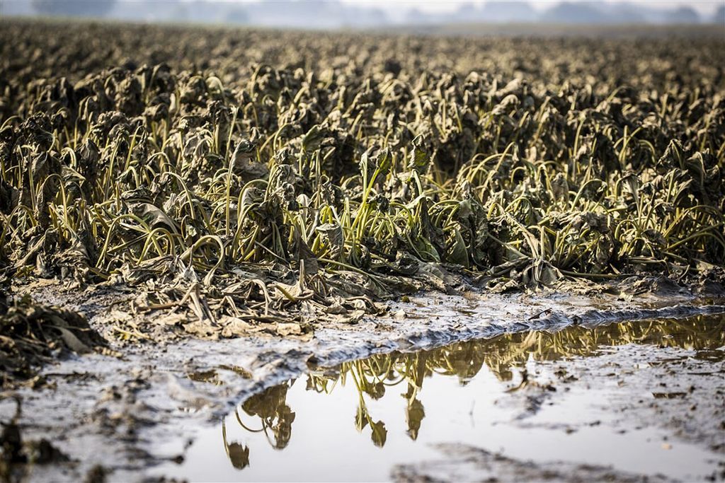 Tweede Kamerverkiezingen klimaat