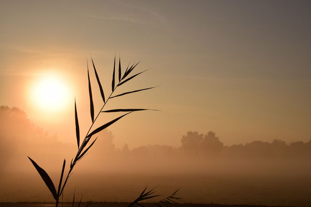 Met weemoed kijken we terug naar 2022, een jaar met veel zorgen en uitdagingen in de agrarische sector. Maar 2023 is ook een nieuw begin. - Foto: Canva/ulleo van Pixabay