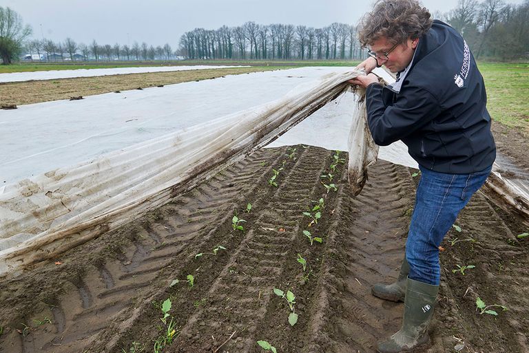 Herenboeren is te besschouwen als een farmerscommunity: een groep burgers die samen een boerderij exploiteren waar ze onder begeleiding van een bedrijfsleider hun eigen voedsel telen. - Foto: Van Assendelft Fotografie