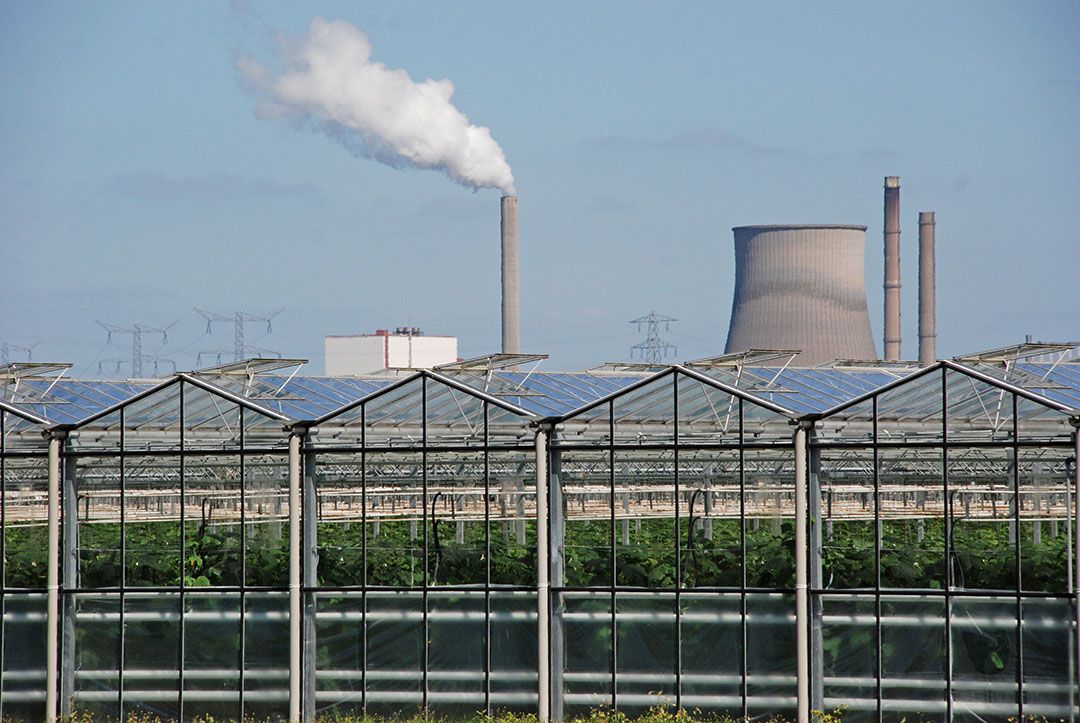 Restwarmte wordt al gebruikt in de glastuinbouw, zoals hier in Made. Dat kan een impuls krijgen via WarmtelinQ. - Foto: Peter Visser