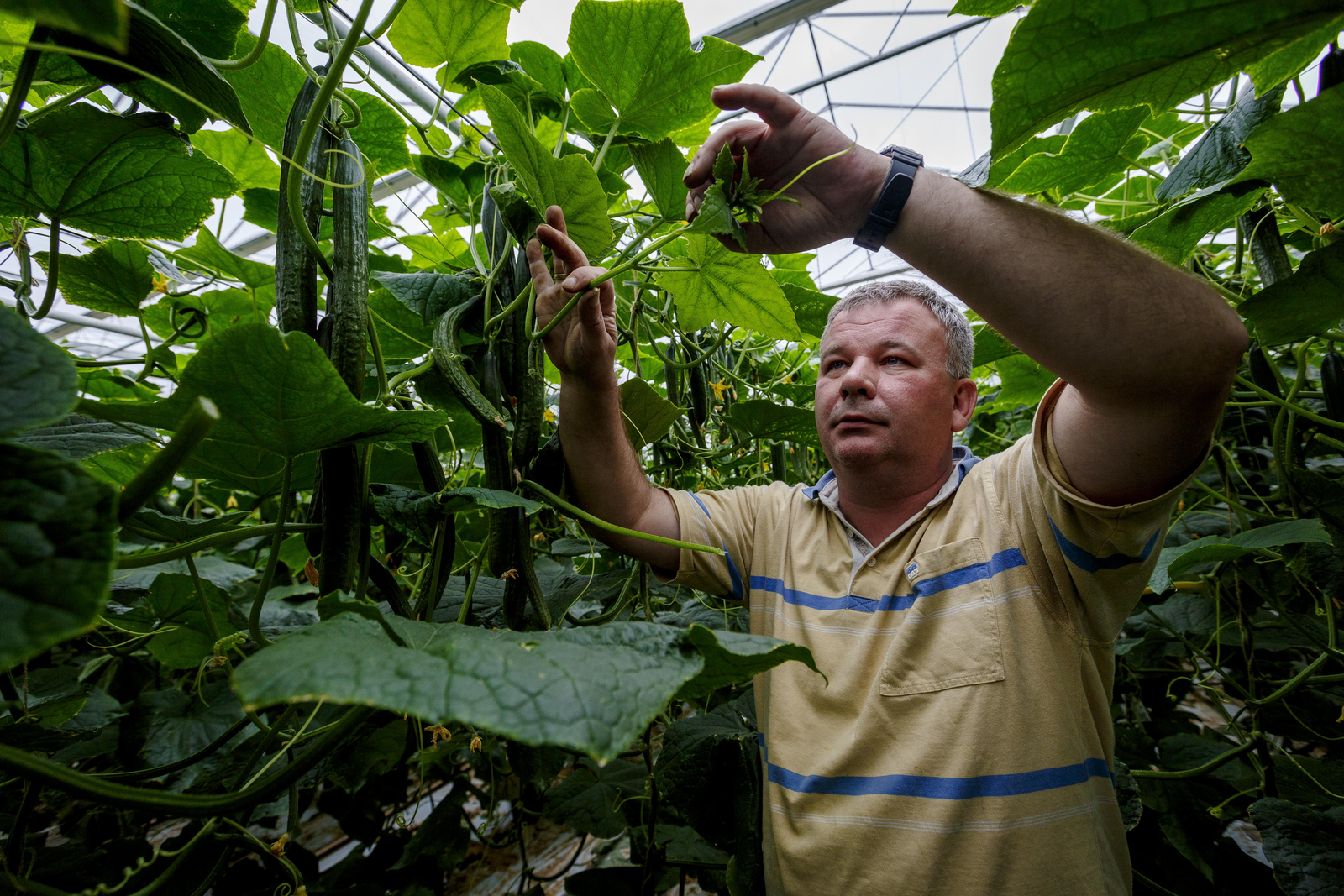 &apos;Waterbassin staat nu nog bijna vol&apos;