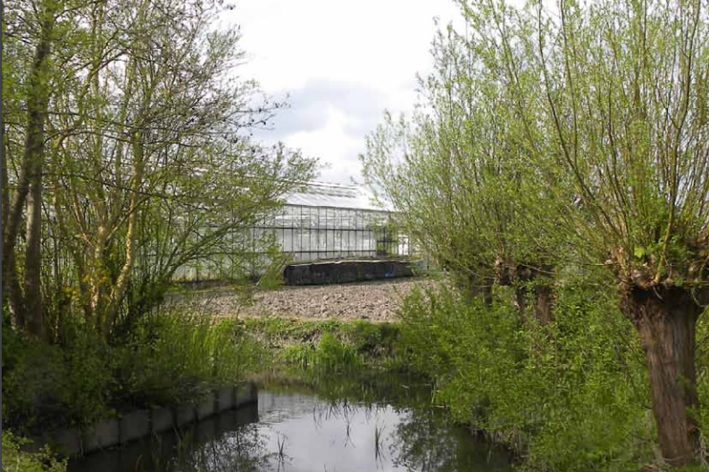 Noord- en Zuid-Holland leggen glastuinbouwbeleid naast elkaar