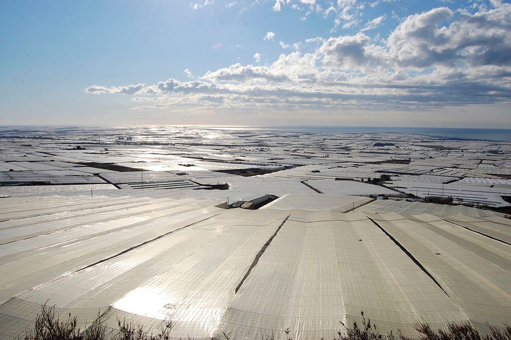 Archieffoto van teelt in Almeria waar weersomstandigheden in februari lang slecht waren. - Foto: Gerard Boonekamp