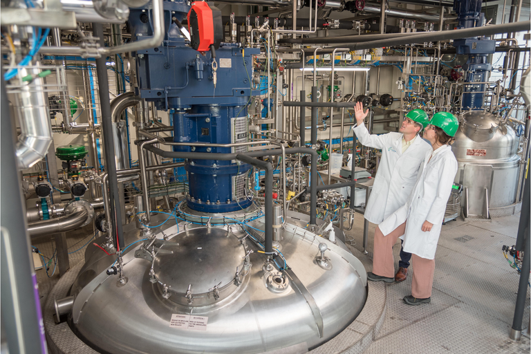 Bio Base Europe