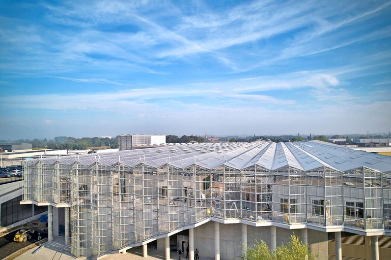 Agrotopia is de grootste dakkas van Europa, bovenop de kistenloods van veiling REO. - Foto: REO