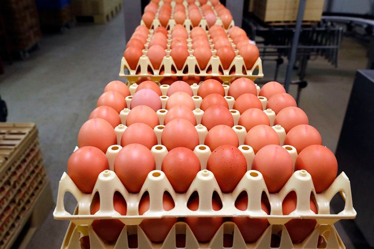 vrije-uitloopeieren in supermarkt
