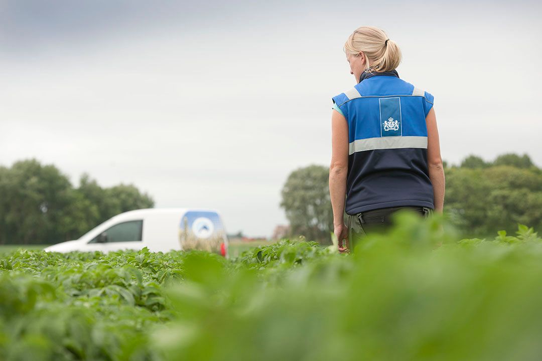 Plantaardige keuringsdiensten houden taken