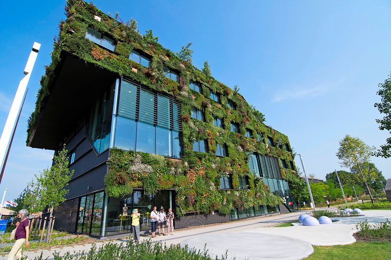 De groene gevel van het gebouw kleur mee met de seizoenen. Foto: Joke Kranenberg