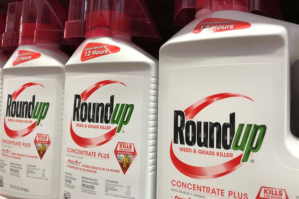 Een commissie van wetenschappers moet zich buiten over de bepaling of glyfosaat, dat in Roundup zit, kankerverwekkend is. - Foto: Reuters