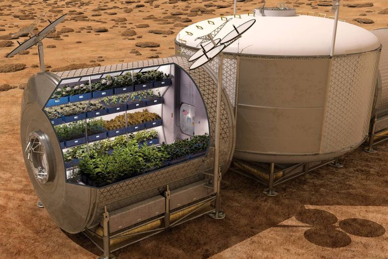Al eerder is onderzoek gedaan naar groenteelt op Mars, zoals met sla. Mengteelt blijkt kansrijk te zijn, concluderen WUR-onderzoekers. – Foto: ANP/EPA/NASA