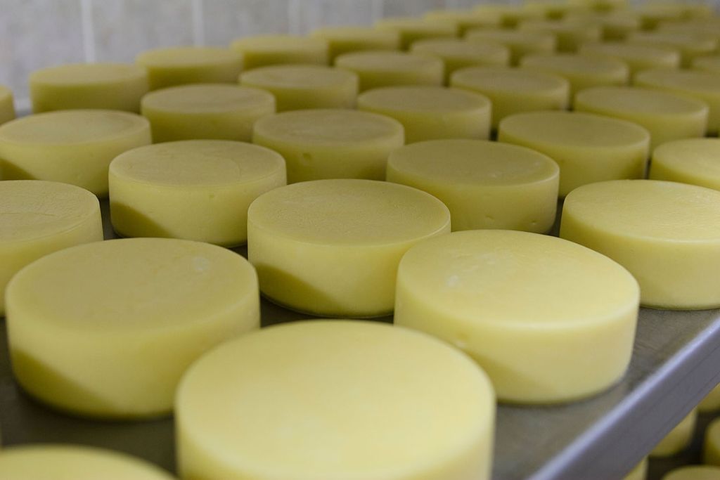 Amerika biedt kaas goedkoper aan in vergelijk met EU en Nieuw-Zeeland. Foto: Canva