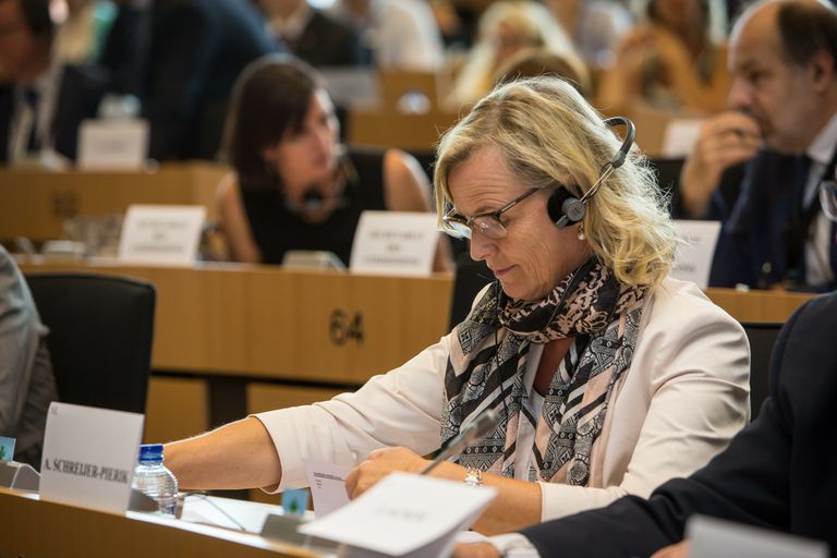 Europarlementariër Annie Schreijer-Pierik aan het werk in het Europees Parlement. Foto: Peter Roek