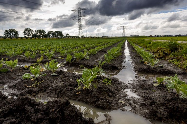 Animo boeren voor brede weersverzekering stijgt
