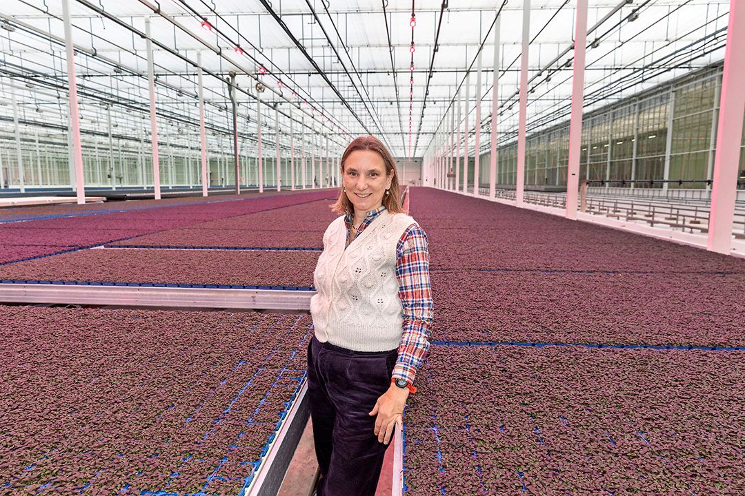 laura bromet tuinbouw