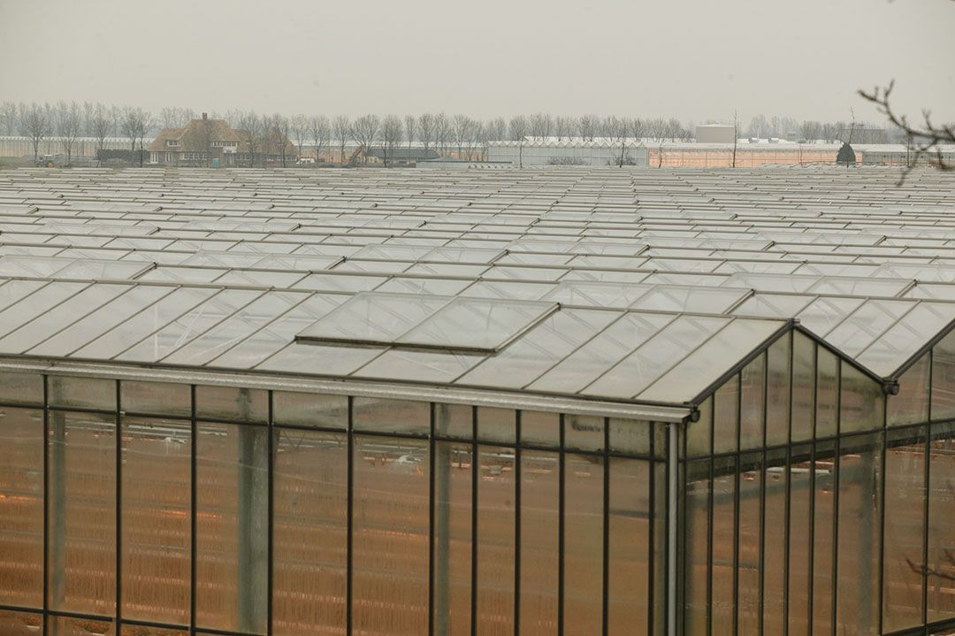 Foto: Koos Groenewold
