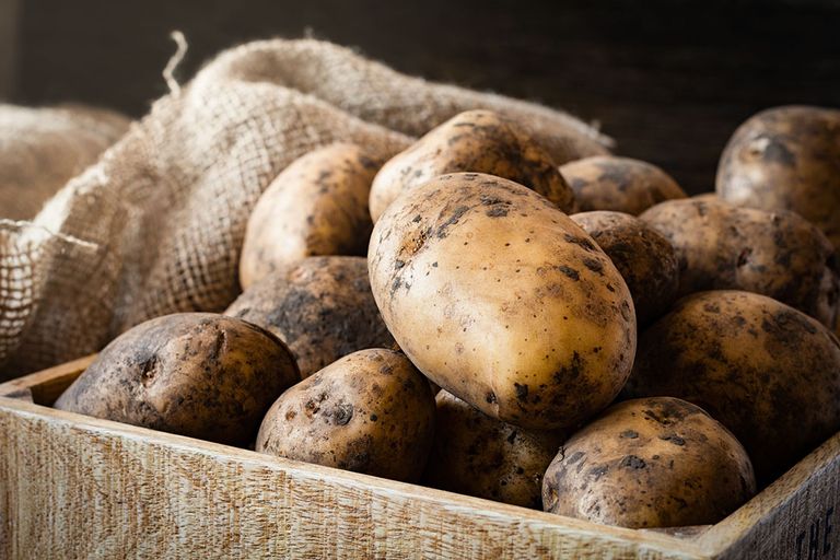 Droogte leidde tot minder Belgische aardappelteelt. Foto: Canva