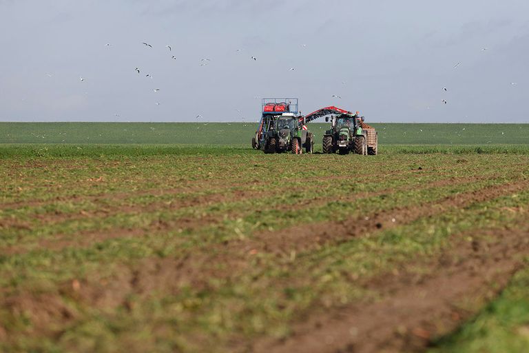 Robin Food Coalitie opgericht