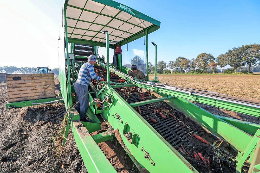 De rooier van Basrijs is nog wat aangepast, er zitten nieuwe rooimatten in en het wisselen van de kuubkisten moet nu nog sneller gaan - Foto: Bert Jansen