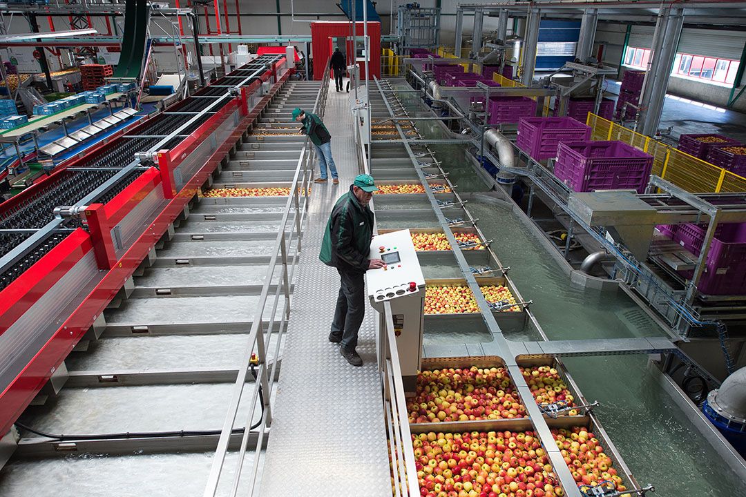 Fruitveiling Zuid-Limburg kent moderne faciliteiten. Foto: Marcel van Hoorn