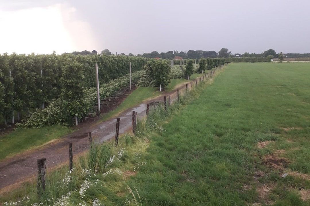 Rijen bomen lagen plat rond Tiel. - Foto: Piet Verwoert